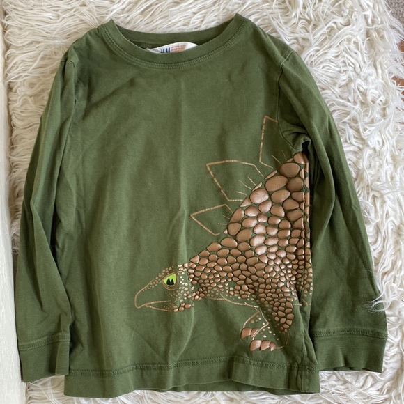 H&M Other - HM 3-D scale dinosaur shirt long sleeve